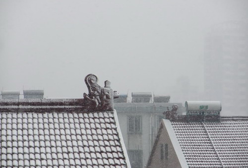 /images/200912/snowy3.jpg /images/200912/snowy3.jpg