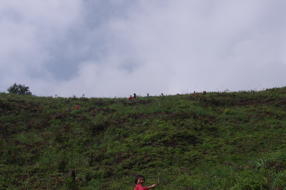 /images/201010/pashan2.jpg