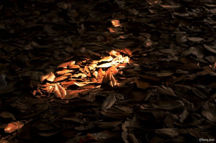 /images/201110/sunshine.jpeg