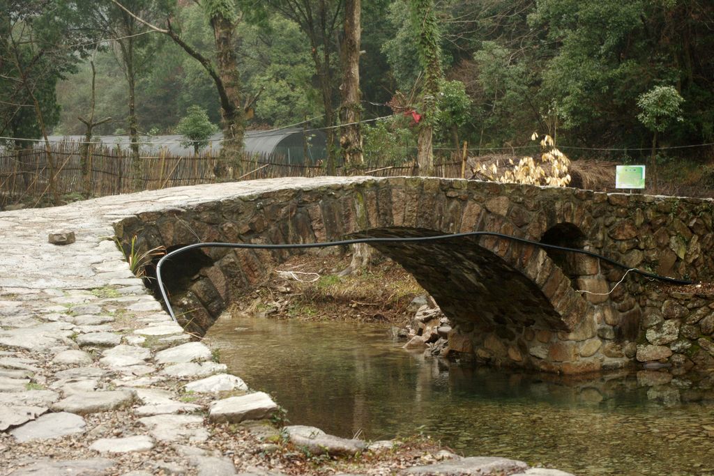 /images/201202/bridge1.jpg /images/201202/bridge1.jpg