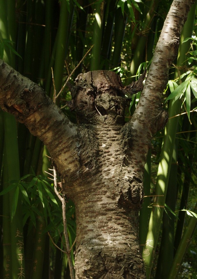 /images/201211/monster.jpg