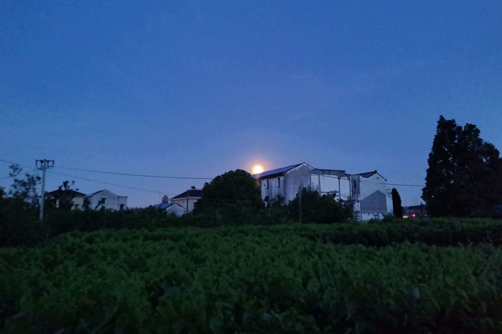 /images/202605/yueye.jpg /images/202605/yueye.jpg
